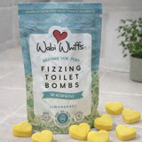 Coastal Fizzing Bomb Collection