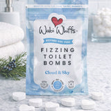 Cloud and Sky Fizzing Toilet Bombs