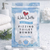 5PC Fizzy Bomb Discovery Pack